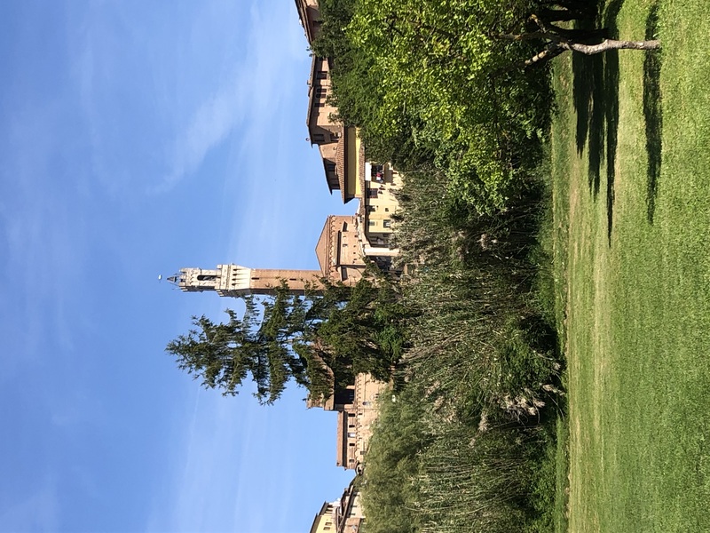 Immagine 2