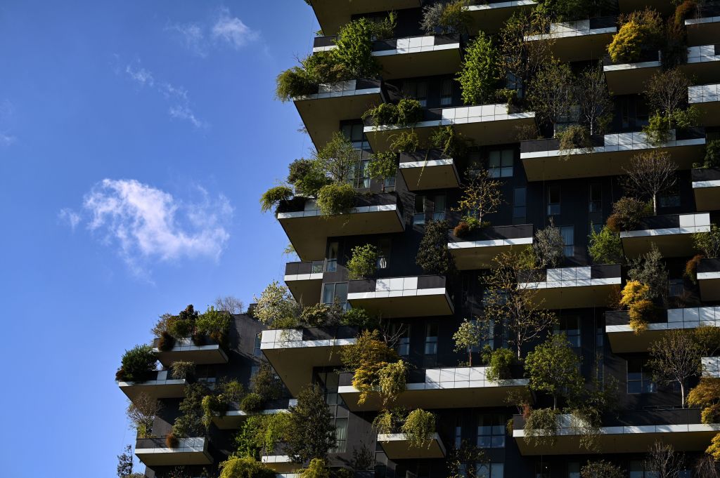 immagine I primi 10 anni del Bosco Verticale