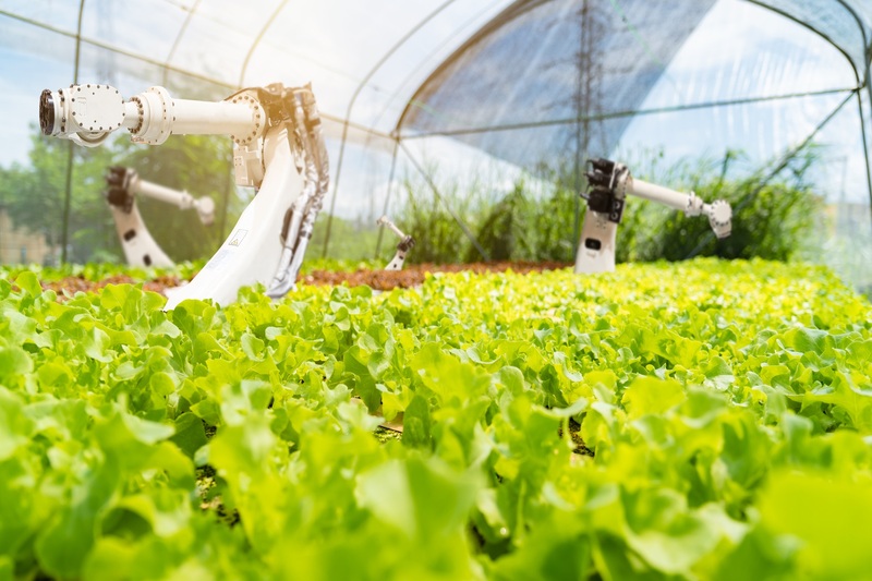 Un moderno sistema di irrigazione (Getty Images)