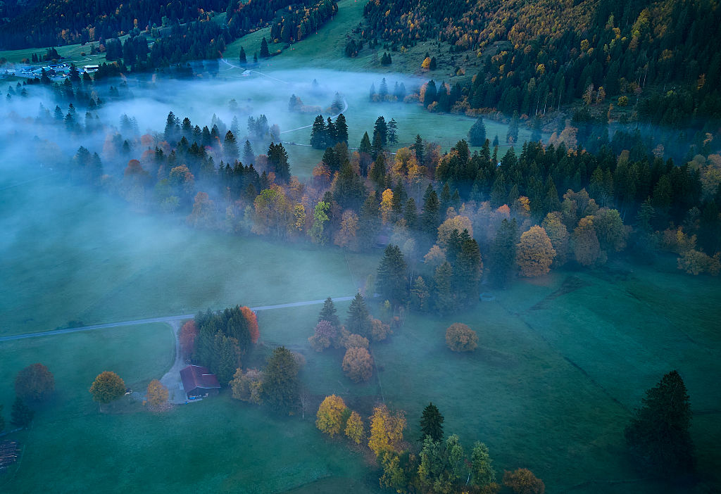 Il valore del sé e della comunità per il cercatore di alberi Tiziano Fratus. “La forza sta nell’eco-sistemarsi”