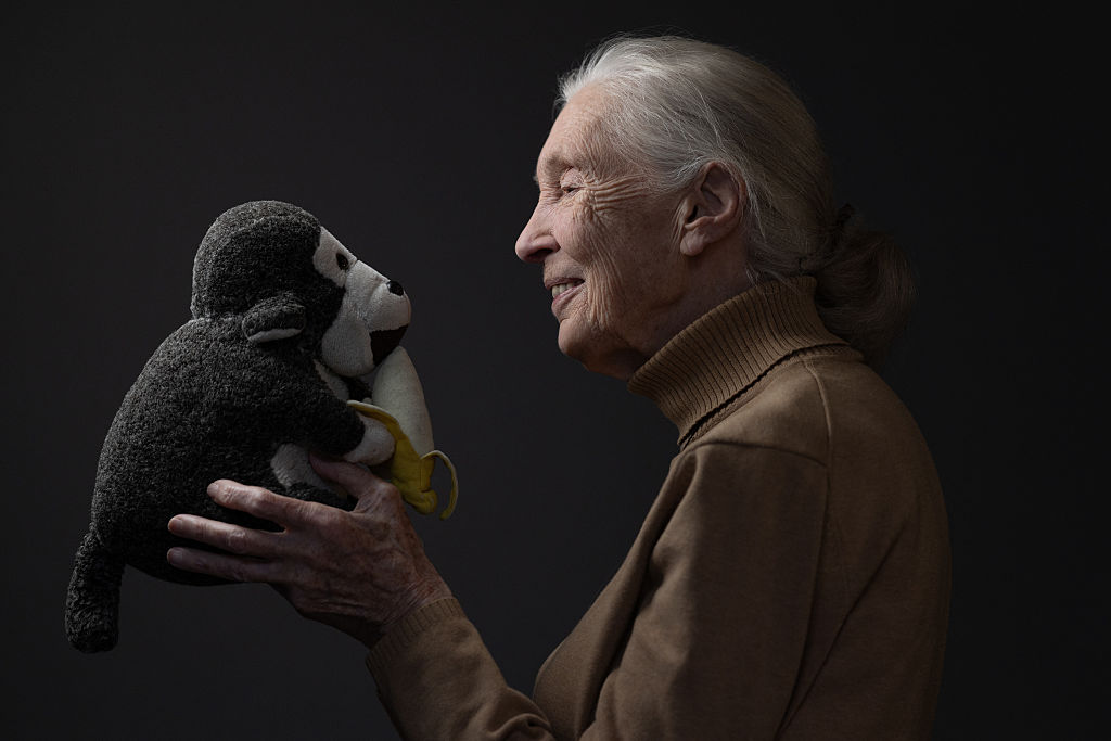 immagine Addio a Jane Goodall