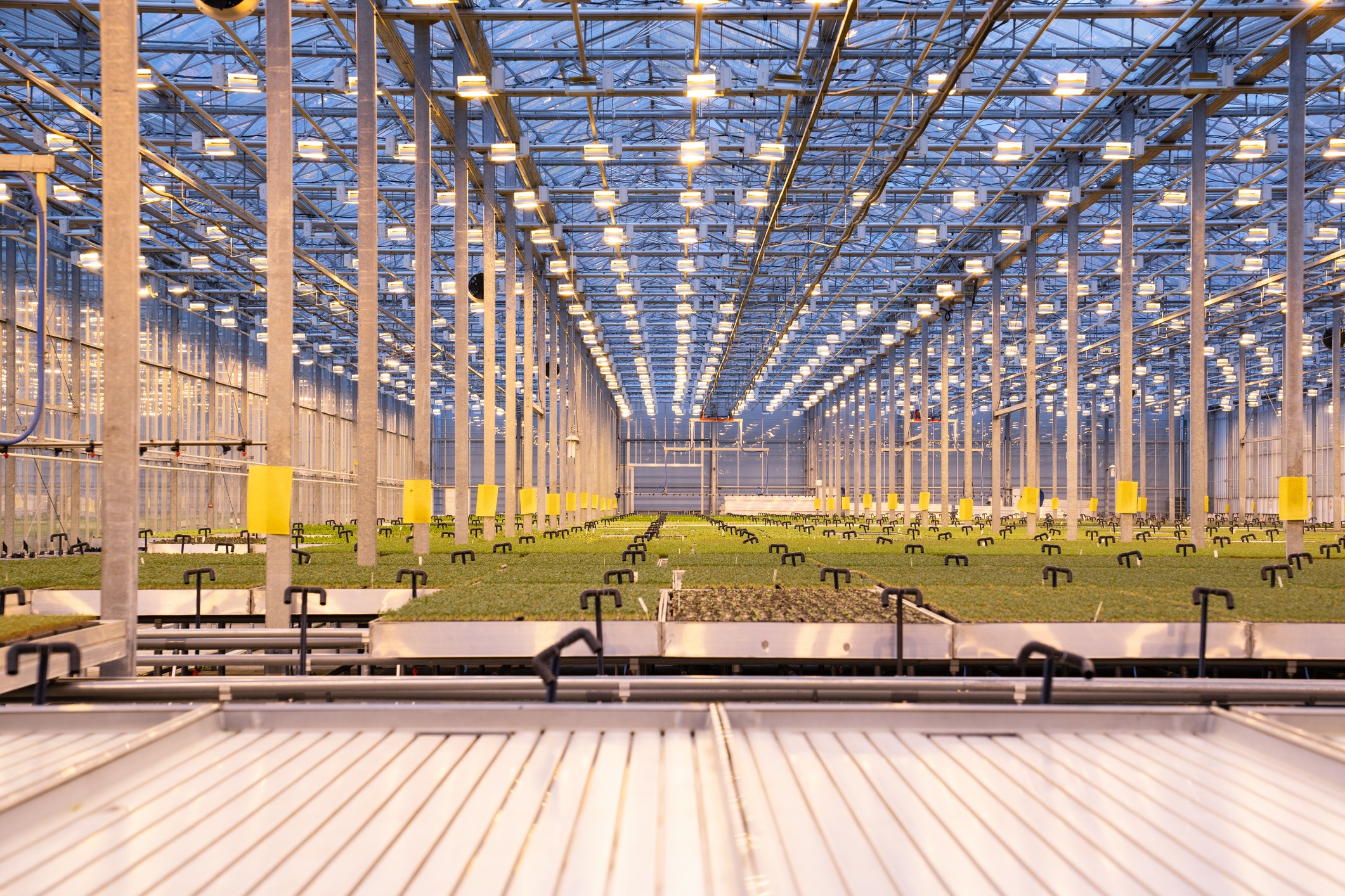 Al via LAND, il programma di Sellalab e CIM per portare innovazione nei distretti industriali italiani
