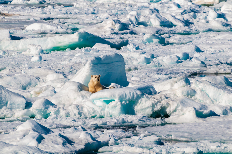 Clima, investimenti e sostenibilità: la posta in gioco alla prossima Conferenza delle Nazioni Unite (COP30)