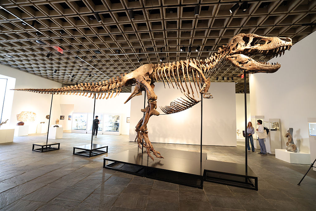 Quanto vale un T-rex?