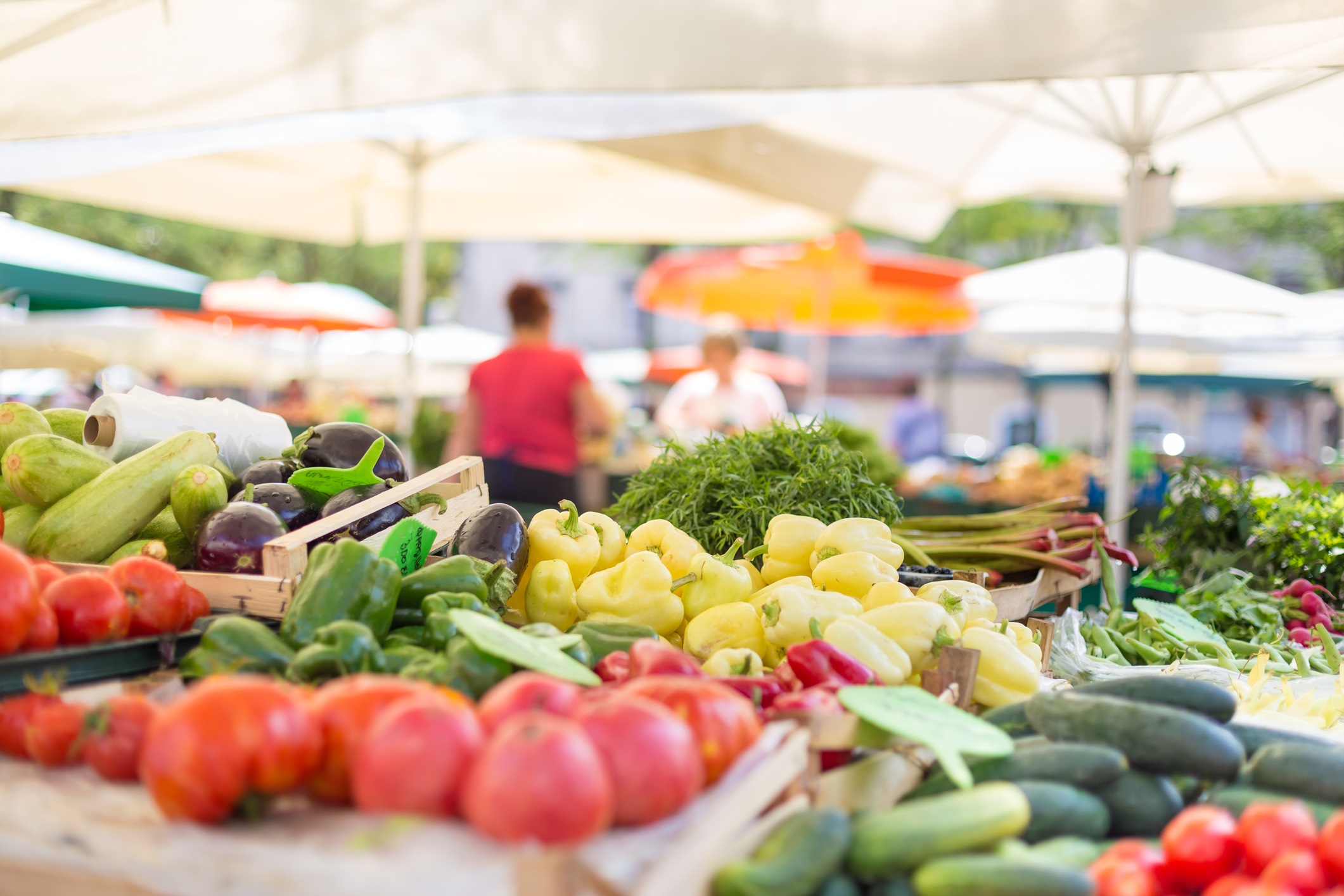 Una campagna per l'alimentazione sostenibile per contribuire a ridurre le emissioni di anidride carbonica