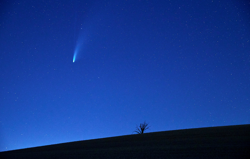 La cometa Neowise